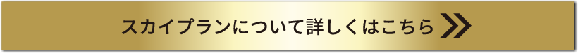 スカイプランについて詳しくはこちら
