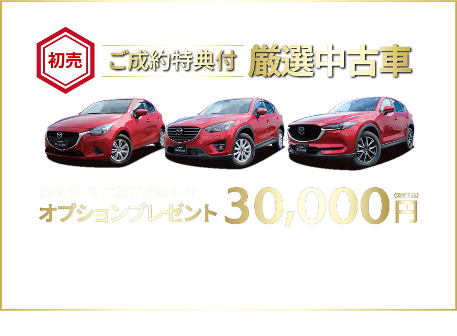 初売ご成約特典付厳選中古車
