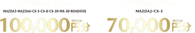 MAZDA3・MAZDA6・CX-5・CX-8・CX-30・MX-30・ROADSTER 100,000円分 / MAZDA2・CX-3 70,000円分